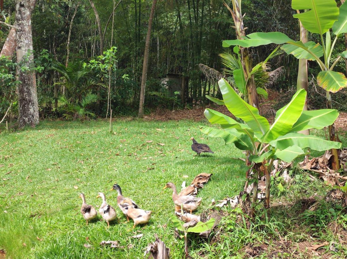 Sitio Gottes Segen Holiday home