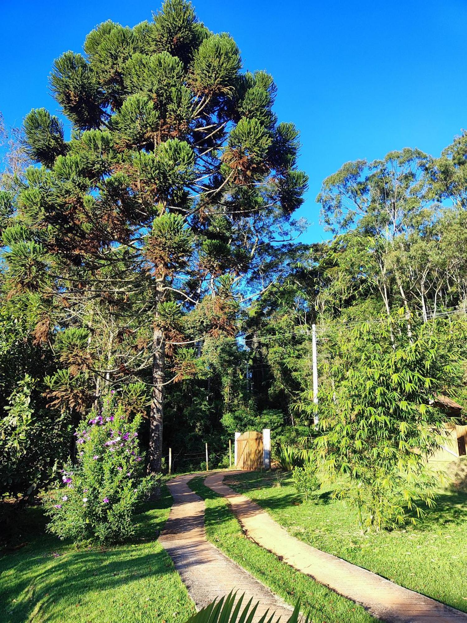 Sitio Gottes Segen Holiday home